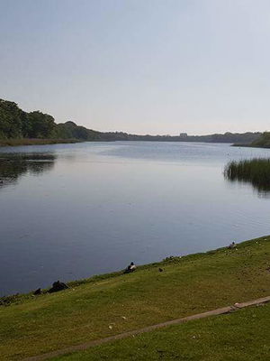 Event The Sonics Function Band London