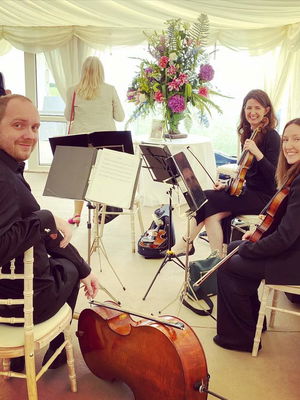 Event Moore Strings String Quartet Sheffield, South Yorkshire