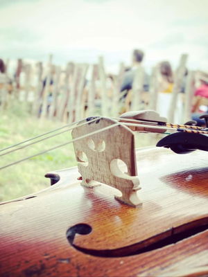 Event Moore Strings String Quartet Sheffield, South Yorkshire