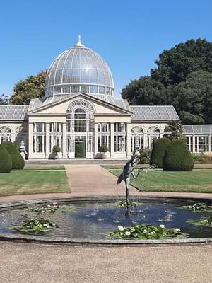 Event Calithea String Quartet String Quartet London