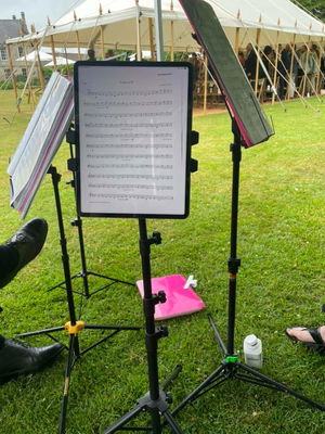 Event Egeria Strings String Quartet Surrey