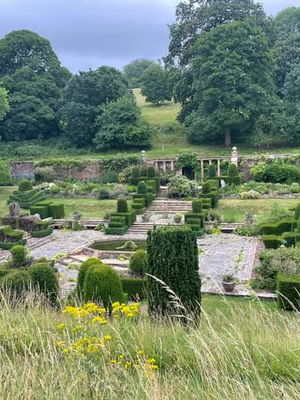 Event Egeria Strings String Quartet Surrey