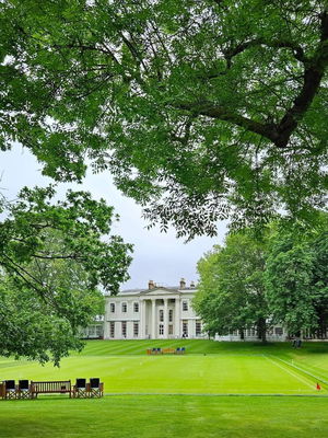 Event Calithea String Quartet String Quartet London