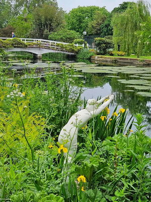 Event Calithea String Quartet String Quartet London