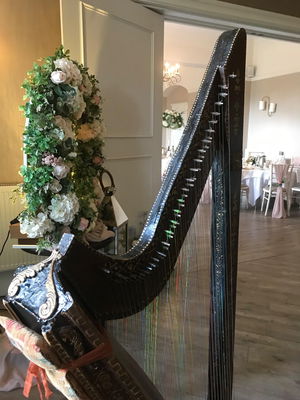Event FW Harp (Harpist) Harpist West Yorkshire