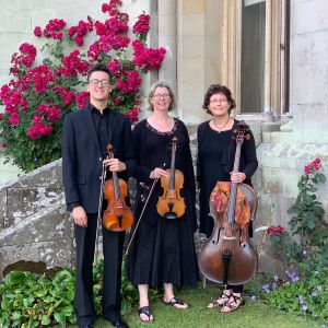Yunlu Z booked Crystal Strings for  their wedding in Herefordshire Crystal Strings String Quartet Review Wedding Herefordshire