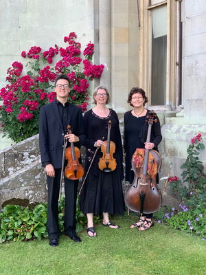 Event Crystal Strings String Quartet Birmingham, West Midlands