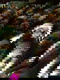 Event The Compilation Function Band Brighton, East Sussex