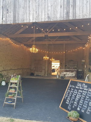 Event Switch Function Band Bristol