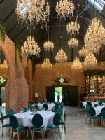 Event The Singing Harpist Harpist Derbyshire