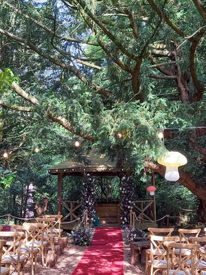 Event Northlights String Quartet West Yorkshire