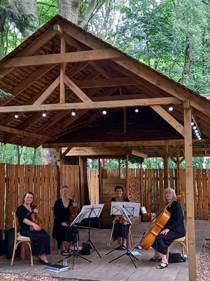 Event Northlights String Quartet West Yorkshire