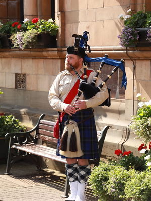 Event Bear The Piper Piper Herefordshire