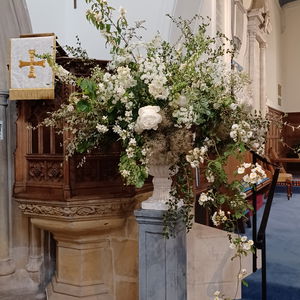 Event Minerva String Quartet String Quartet Somerset