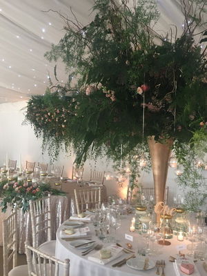 Event Jessica Louise (Harpist) Harpist Madeley, Cheshire