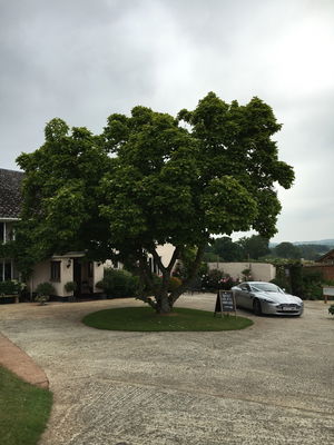 Event Radioactive Function Band Birmingham, West Midlands