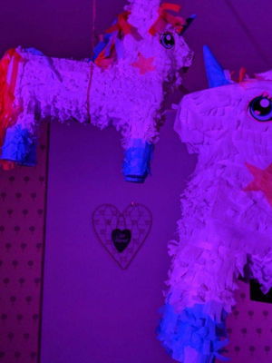 Event The Sonics Function Band London