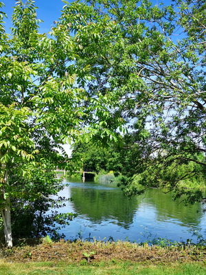 Wedding in Berkshire on 1 June 2019