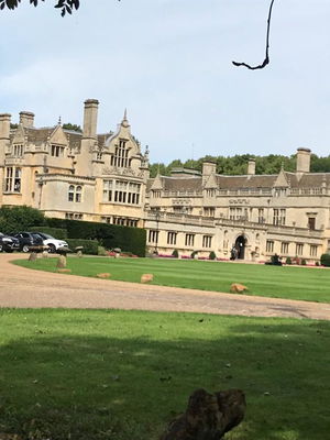 Event Calithea String Quartet String Quartet London