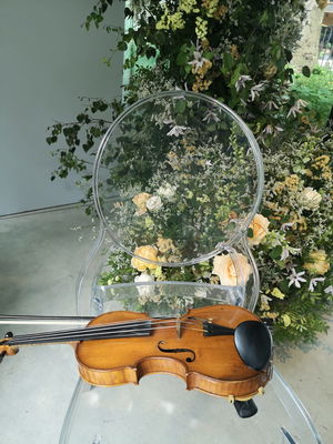 Event Calithea String Quartet String Quartet London