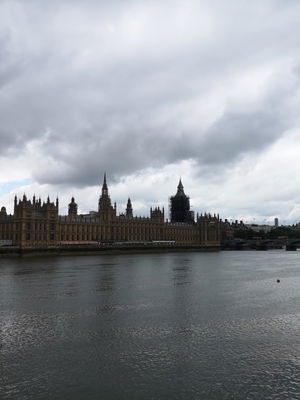 Event Calithea String Quartet String Quartet London