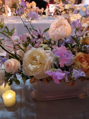 Event Calithea String Quartet String Quartet London