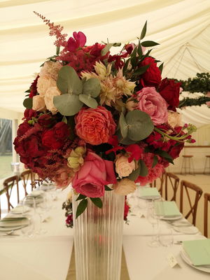 Event Calithea String Quartet String Quartet London