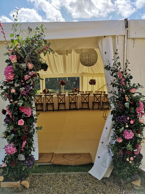 Event Calithea String Quartet String Quartet London