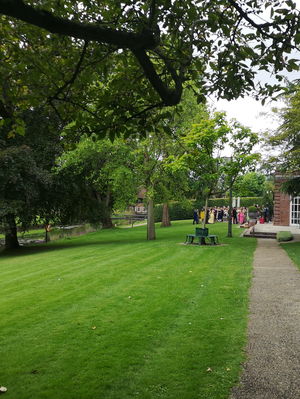 Event Calithea String Quartet String Quartet London