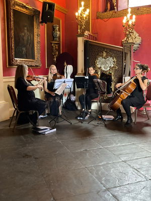 Event Solar Strings String Quartet Cramlington, Newcastle Upon Tyne