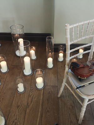 Event Calithea String Quartet String Quartet London