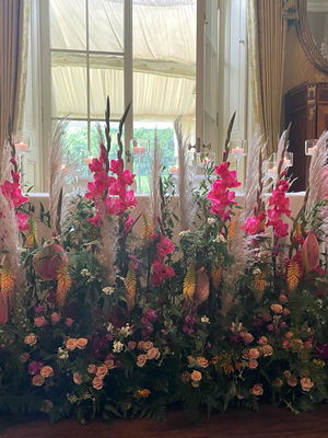 Event Egeria Strings String Quartet Surrey