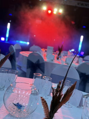 Event Sax DJ Show Saxophonist Bedfordshire