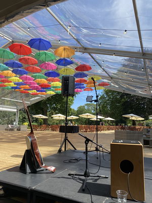 Event Jamie B Singer Guitarist London