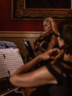 Event Solar Strings String Quartet Cramlington, Newcastle Upon Tyne