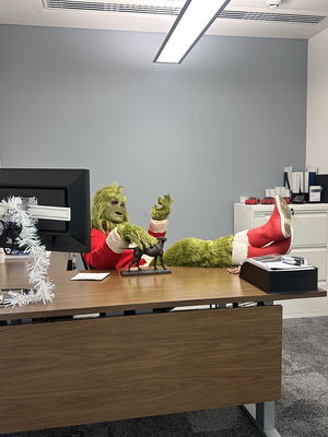 Event The Grinch Lookalike Grinch Lookalike Lancashire