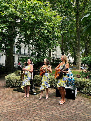 Event Uke Complete Me Ukulele Roaming Duo or Band London