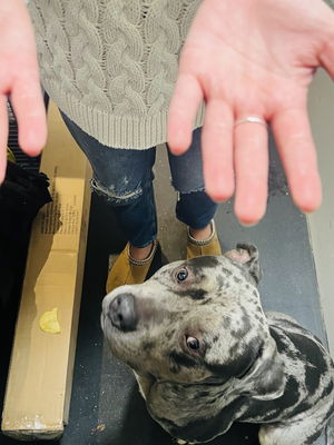 Event Fun Fortune Teller Street Performer London
