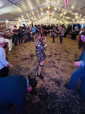 Event Steve Young Solo Singer/ Guitarist Hertfordshire