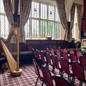 Berenice Harpist Other Event Type West Yorkshire