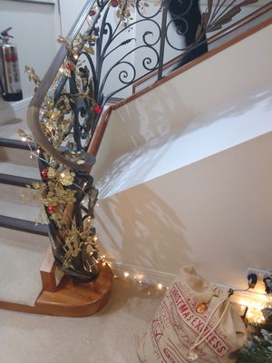 Event Egeria Strings String Quartet Surrey