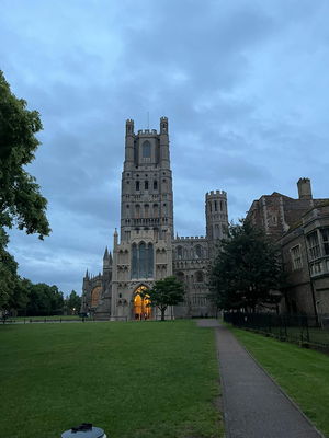 Event Egeria Strings String Quartet Surrey