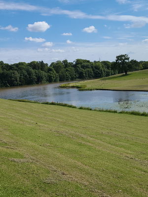 Event Doodle Me 2 Caricaturist West Lothian