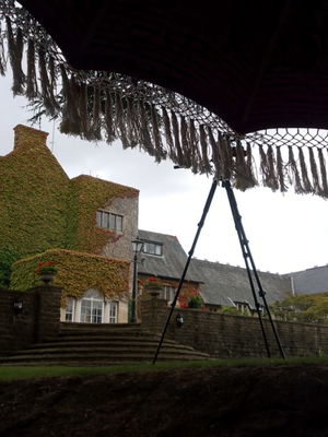 Event Calithea String Quartet String Quartet London