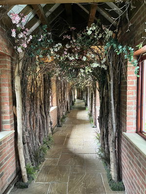 Event Calithea String Quartet String Quartet London