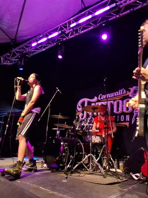 Event Californication (Red Hot Chili Peppers) Tribute Act Staffordshire