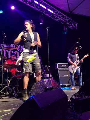 Event Californication (Red Hot Chili Peppers) Tribute Act Staffordshire