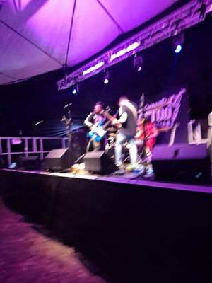 Event Californication (Red Hot Chili Peppers) Tribute Act Staffordshire