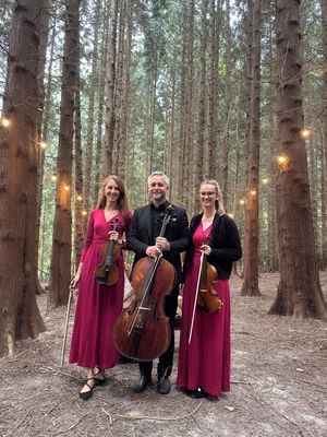 Event Jasmine Strings String Quartet London