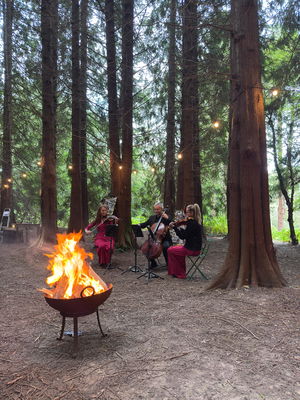 Event Jasmine Strings String Quartet London